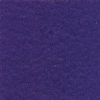 nicenwarm_Universal Purple